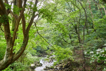 월명사(김제) 여행 추천 - 메고지고