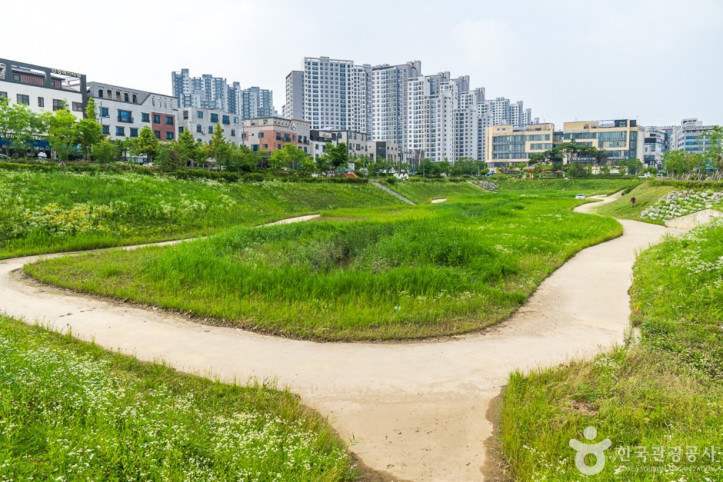 물총새공원 여행 추천 - 메고지고