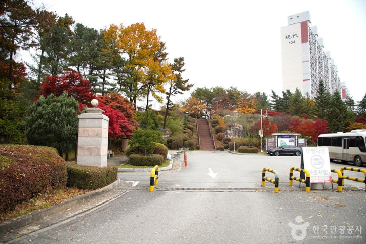 홍천 무궁화공원 여행 추천 - 메고지고
