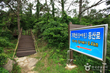 소안도 여행 추천 - 메고지고