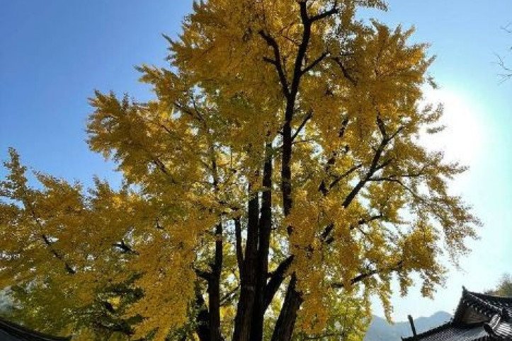 학포당 여행 추천 - 메고지고