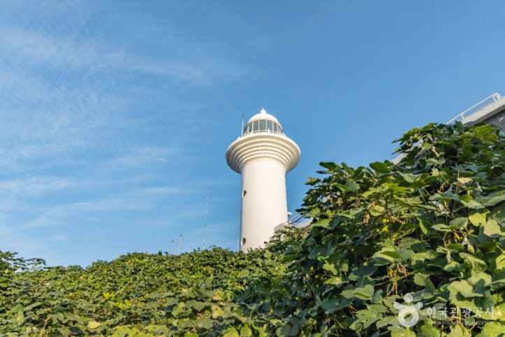 울릉도등대(태하등대) 여행 추천 - 메고지고