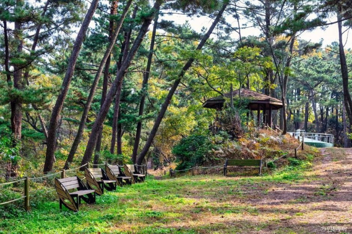 승봉산림욕장 여행 추천 - 메고지고