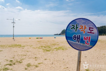 김하인 아트홀 국화꽃향기 여행 추천 - 메고지고