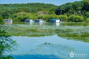 노리개운동장 여행 추천 - 메고지고