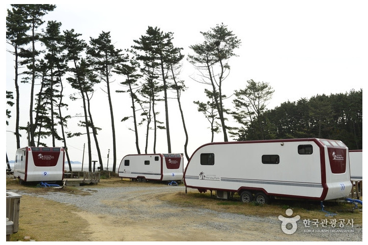 블루오션 리조트 여행 추천 - 메고지고