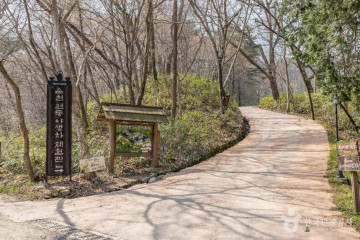 선암사 [유네스코 세계유산] 여행 추천 - 메고지고