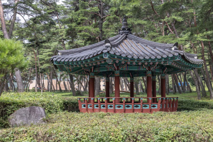 상주 맥문동 솔숲 여행 추천 - 메고지고