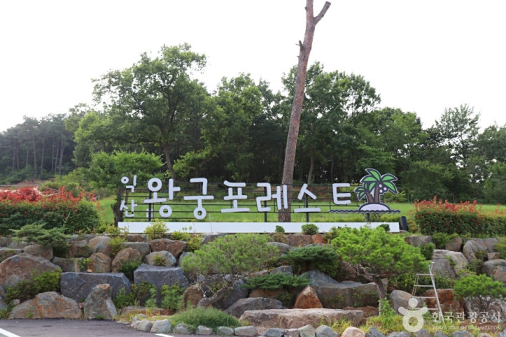 왕궁 포레스트 여행 추천 - 메고지고
