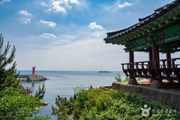 천학정/문암포구 여행 추천 - 메고지고