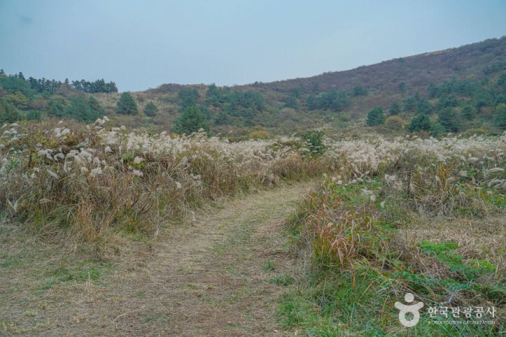 정물알오름 여행 추천 - 메고지고
