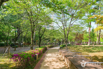 당산공원 여행 추천 - 메고지고