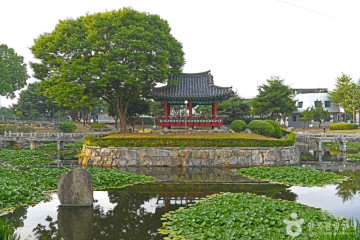 충도저수지 여행 추천 - 메고지고