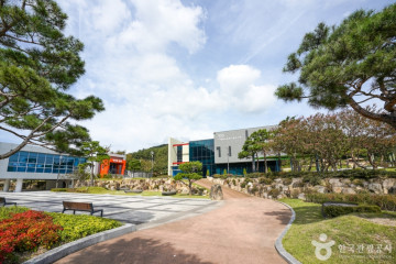포항 마북리 느티나무 여행 추천 - 메고지고