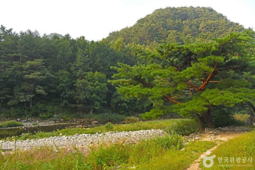 진동 계곡마을 여행 추천 - 메고지고