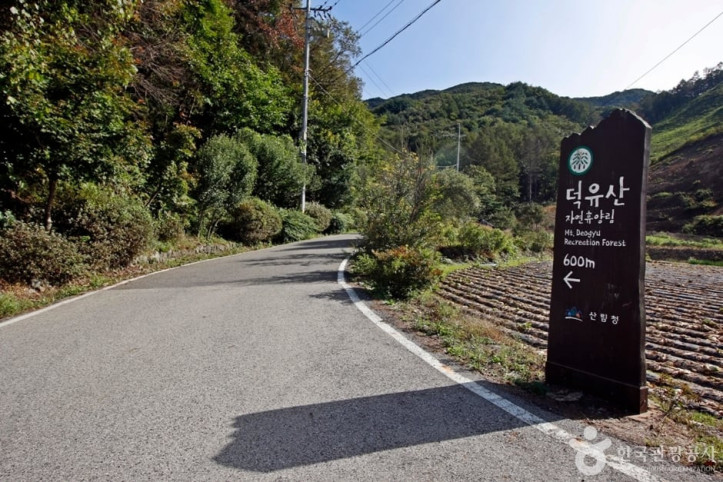 국립 덕유산자연휴양림 여행 추천 - 메고지고