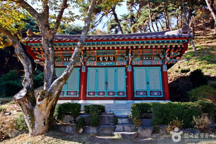 창룡사(충주) 여행 추천 - 메고지고