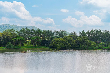 전라남도 산림연구원 여행 추천 - 메고지고