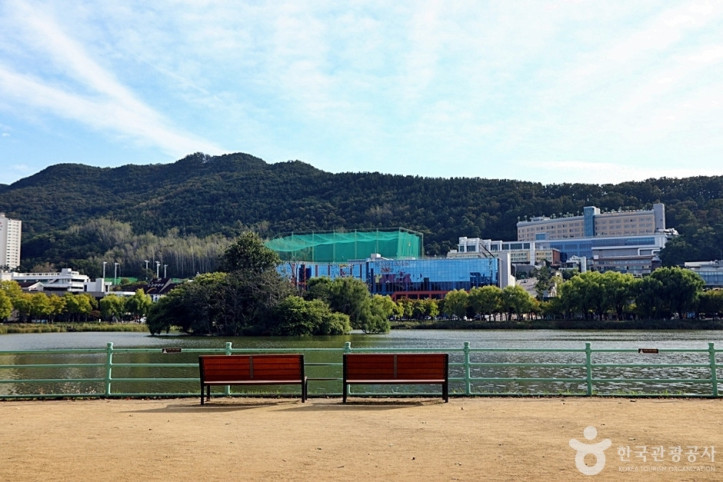수성못상화동산 여행 추천 - 메고지고