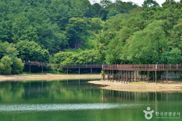 논산 탑정호 출렁다리 여행 추천 - 메고지고