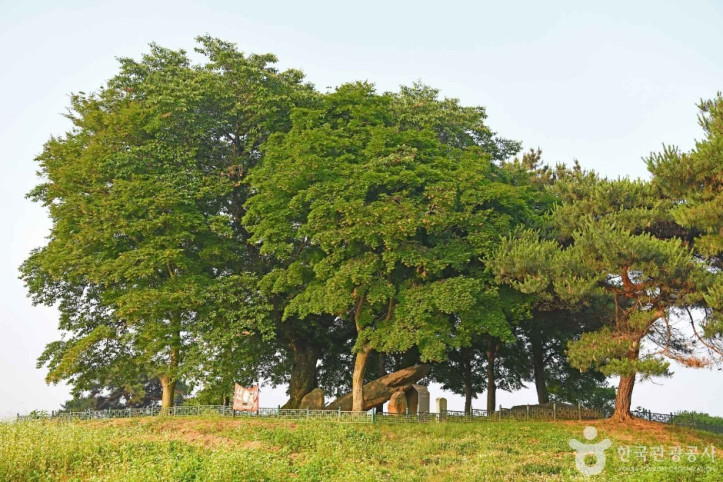부여 산직리지석묘 여행 추천 - 메고지고