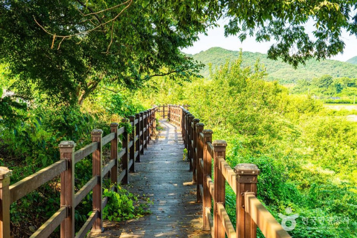 양화저수지 여행 추천 - 메고지고