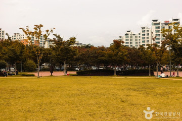 사단법인 푸른차문화연구원 여행 추천 - 메고지고