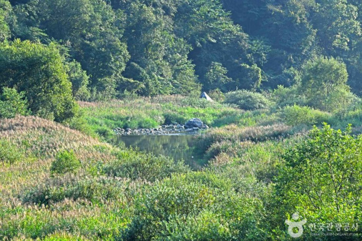 하추리계곡 여행 추천 - 메고지고