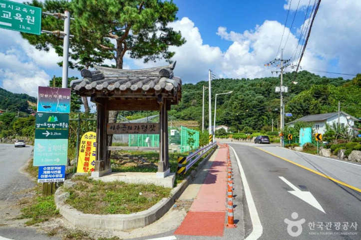 가평 영양잣마을 여행 추천 - 메고지고