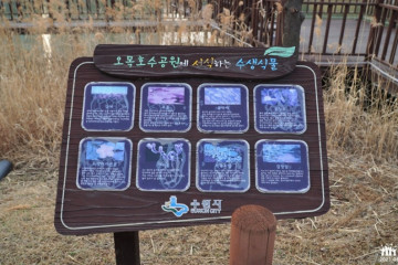 고색뉴지엄 여행 추천 - 메고지고