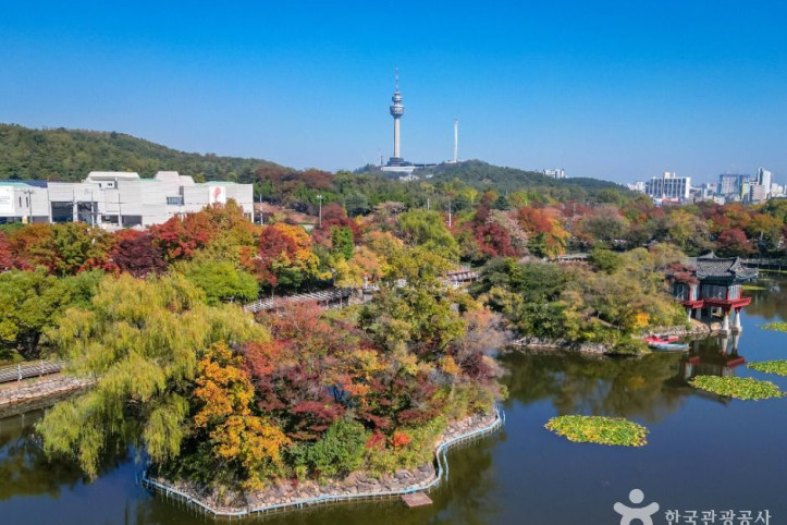 이월드 83타워 여행 추천 - 메고지고
