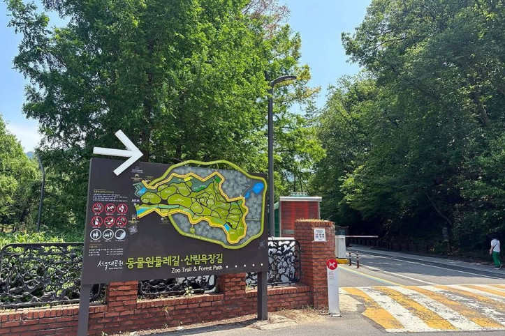 서울대공원 산림욕장 여행 추천 - 메고지고