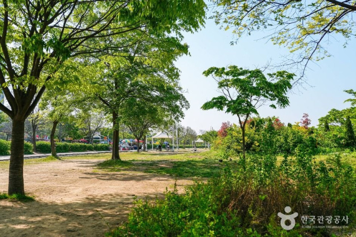 여의도한강공원 멀티프라자 여행 추천 - 메고지고