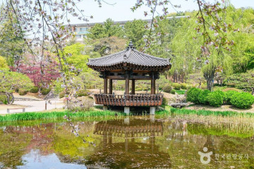 정글미디어파크 여행 추천 - 메고지고
