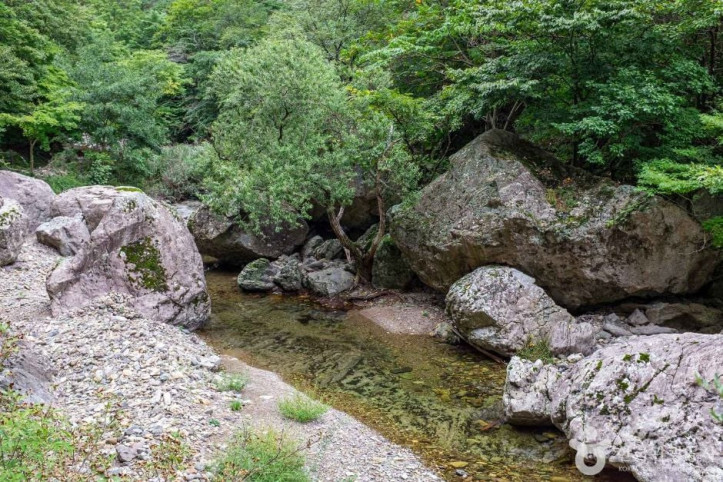 절골협곡 (청송 국가지질공원) 여행 추천 - 메고지고
