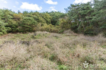 박달산(괴산) 여행 추천 - 메고지고
