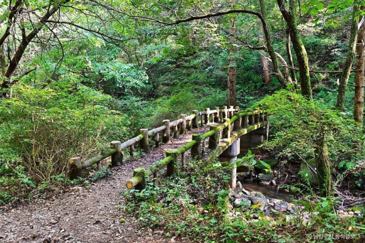 천마산 시립공원 여행 추천 - 메고지고