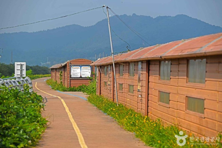 나포십자뜰철새관찰소 여행 추천 - 메고지고