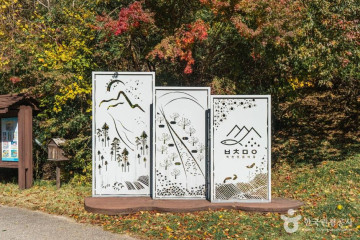봉화 금강소나무림 여행 추천 - 메고지고