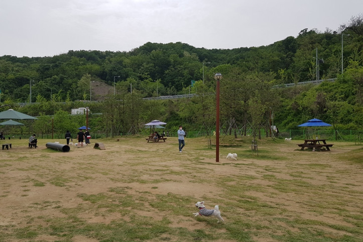 삼막애견공원 여행 추천 - 메고지고