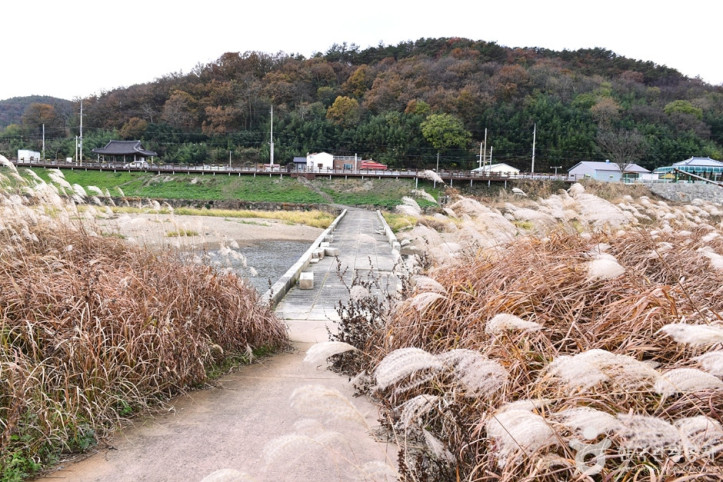 함평 고막천 석교 여행 추천 - 메고지고