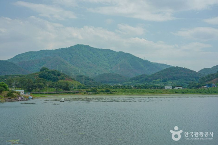 초동저수지 여행 추천 - 메고지고