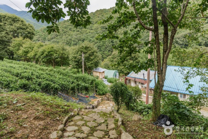 서벽정 여행 추천 - 메고지고