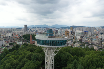 사직 빛의 숲 여행 추천 - 메고지고