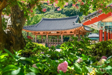 무장산 여행 추천 - 메고지고