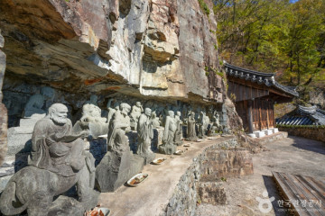 경상남도수목원 여행 추천 - 메고지고