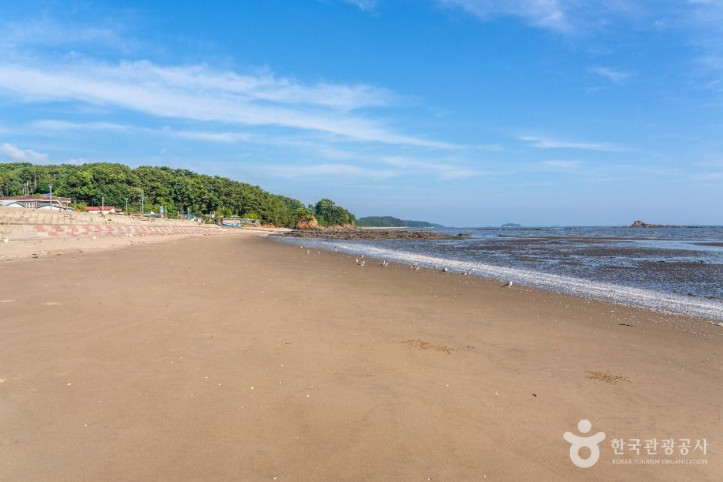 비인해변 여행 추천 - 메고지고