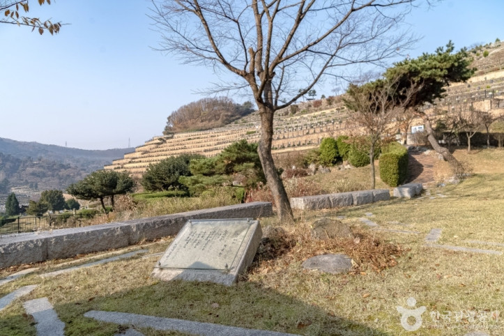 박목월 시의 정원 여행 추천 - 메고지고