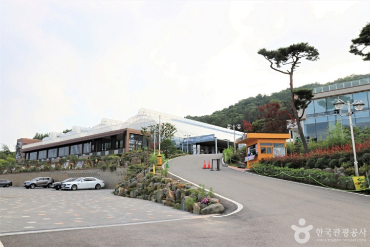 왕궁 포레스트 여행 추천 - 메고지고