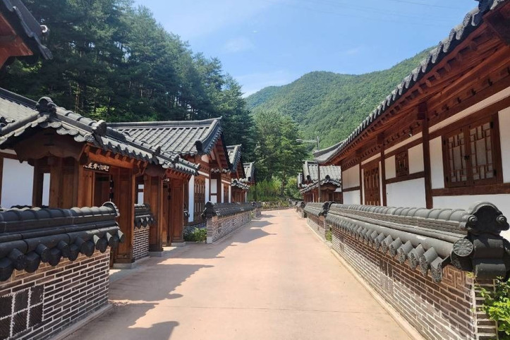 삼척활기자연휴양림 여행 추천 - 메고지고